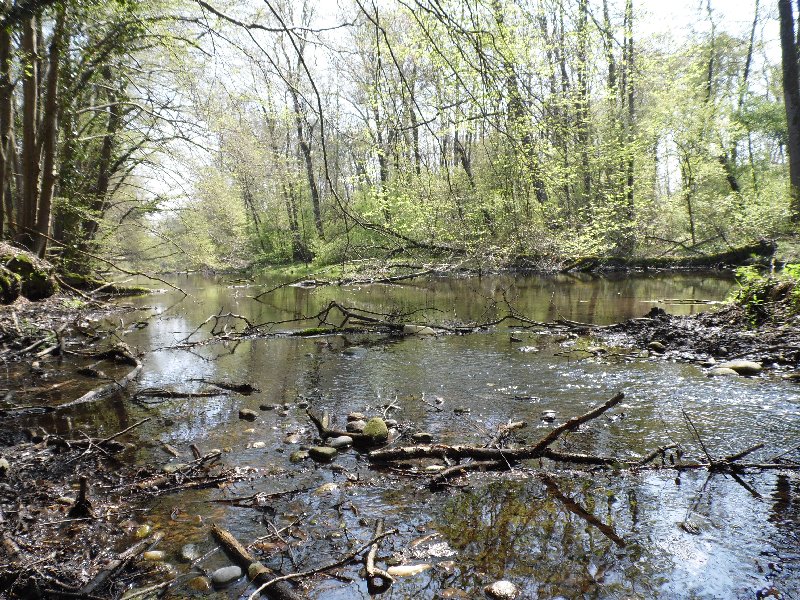 Parco del ticino 14.4.13